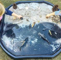 two children are playing with fish in an ice tray on the grass and pine cones