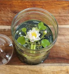 a glass bowl with water and flowers in it