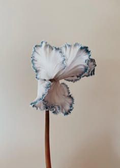 a blue and white flower on top of a wooden stick in front of a wall