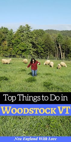 a woman standing in the middle of a field with sheep behind her and text that reads top things to do in woorstock vf