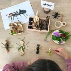 Insects Preschool, Insect Activities, Forest School Activities, Cnc Files, Spring Activities, Toddler Learning Activities, Preschool Learning Activities