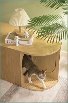 a cat standing inside of a wooden cabinet next to a lamp on top of a table