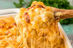 a wooden spoon scooping out some cheesy pasta from a casserole dish