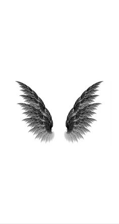 an artistic black and white photo of two wings on a white background with the words angel written below it