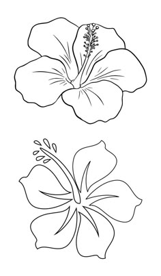 a flower that is outlined in the shape of a hibish, with leaves and flowers