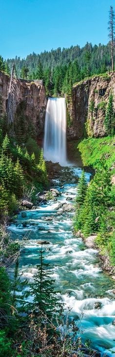 a waterfall in the middle of a forest with water flowing down it's sides