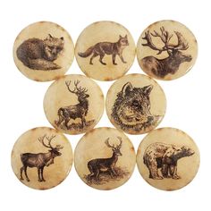 six different types of deer and wolf buttons on a white backgrounnd background