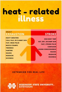 It’s hot! And the heat isn’t just uncomfortable, it can be dangerous. Learn to recognize the signs that tell you your body is overheating. Heat Exhaustion Symptoms, Kingston Washington, Heat Intolerance, Hazard Risk, Summer Safety Tips, Heat Safety, Medical Things, Dairy Free Breastfeeding