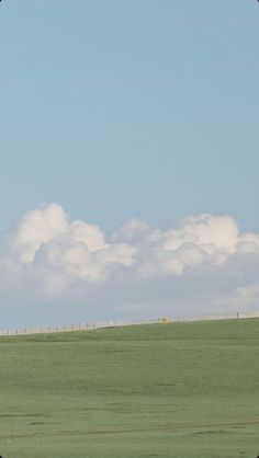 two giraffes standing in an open field under a blue sky with white clouds