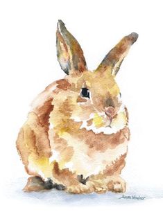 a watercolor painting of a brown rabbit