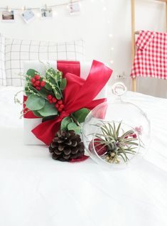 a gift wrapped in red ribbon with air plant and pineconis sits on a bed