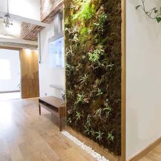 a living room wall with plants growing on it and wood flooring in front of the door