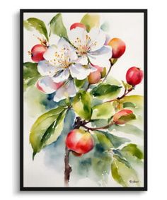 an apple tree with white flowers and green leaves in watercolor on paper, framed in black frame