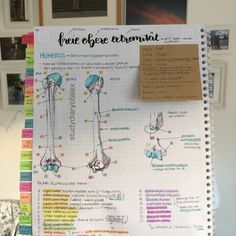 #studygram #student #desk #studymotivation #studyblr #studywithme #studyblrcommunity #notestagram #medschool #studytips #studyinspo #studytechnique #motivation #notes

#studycommunity #university #style #unistyle #studentstyle #universitylife #studentlife #flipthrough #notebook #stationeryaddict #studyspo #notestagram #studyinspiration #study Aesthetic Flashcards, Anatomy Studying, Productive Study, Studying Aesthetic, Study Buddy, Study With Me, Monday Again, Study Session