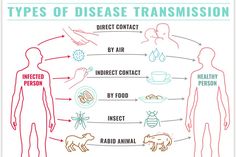 Non Communicable Disease, Preschool Prep, Types Of Diseases, Infection Prevention, Oral Health Care, Charts For Kids, Oral Health, Disease, Medicine