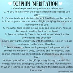 a poem describing dolphin meditation in the ocean