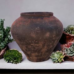 a large vase sitting on top of a table next to small succulents