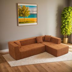 a living room with a couch, rug and potted tree in the corner on the wall