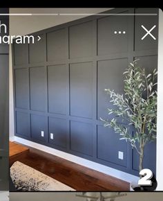 a living room with dark gray paneling and a potted plant