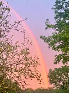 a rainbow in the sky over some trees and grass with a fence around it that is surrounded by green leaves