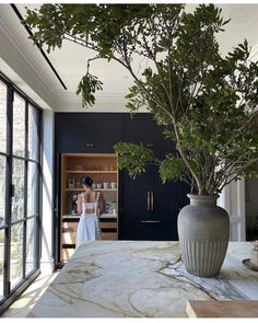 a woman standing in front of a kitchen counter with a potted plant on it