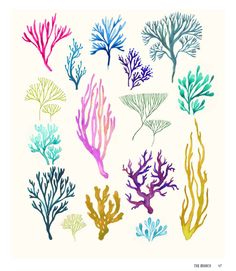 watercolor seaweed and corals on white paper with blue, pink, green, yellow