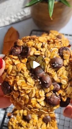 someone holding up two cookies with nuts and chocolate on top in front of a potted plant