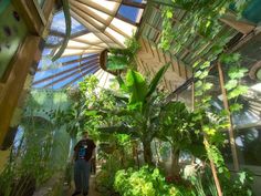 a man standing in a greenhouse with lots of plants