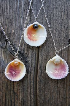 three seashells are hanging from chains on a wooden surface with words written below them