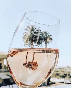 a wine glass filled with water and palm trees