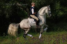 a man riding on the back of a white horse through a lush green field filled with purple flowers