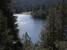 a lake surrounded by pine trees and mountains