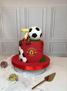 the cake is decorated with soccer balls on top