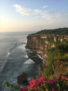 an ocean cliff with flowers growing on it