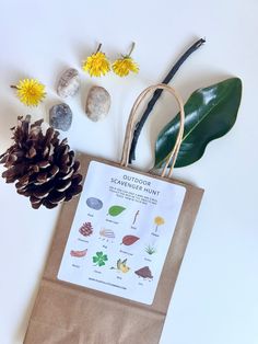 a brown paper bag sitting on top of a table next to pine cones and leaves