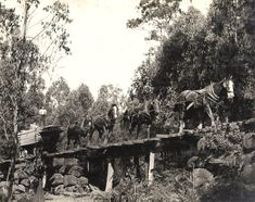 an old photo of horses pulling wagons over a bridge with people on it and trees in the background