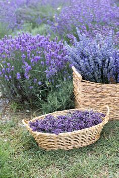 two baskets filled with lavender flowers sitting in the grass