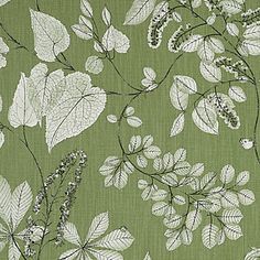 a green wallpaper with white leaves and flowers on the back ground in front of a light green background