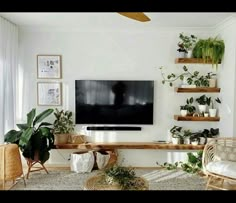 a living room filled with furniture and lots of plants on top of the shelves in front of a flat screen tv