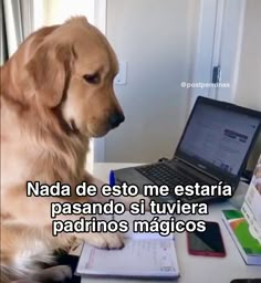 a dog sitting at a desk with a laptop and notepad in front of it