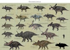 an image of dinosaurs that are in different colors and sizes, with the names on them