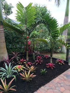 tropical garden with palm trees and flowers in black mulch on the ground, surrounded by brick pavers