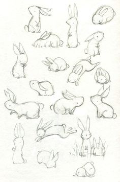 some drawings of rabbits in various positions and sizes, including one with its head turned to the