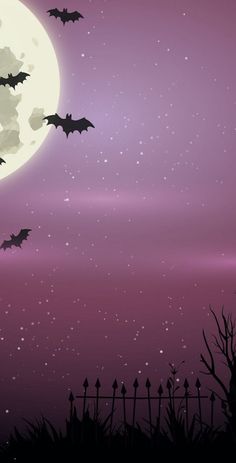 bats flying in front of a full moon with purple sky and fenced area below