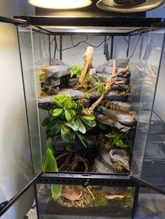 an aquarium filled with plants and rocks on the bottom shelf, next to a light