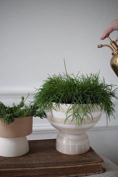 two planters sitting on top of a table with plants growing out of the pots