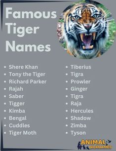 A captivating graphic featuring a collection of famous tiger names, perfect for pet owners seeking inspiration from legendary and iconic feline figures. Snow Tiger, Tiger Moth, Famous Names, Story Ideas, Animated Characters, Book Characters, Tigers