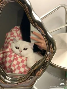 a white cat laying on top of a pink and white checkered blanket under a mirror