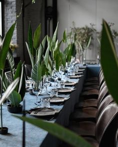 a long table is set with place settings and green plants in vases on each side