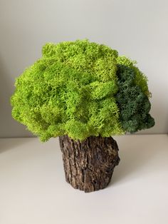 a fake tree with green moss growing on it